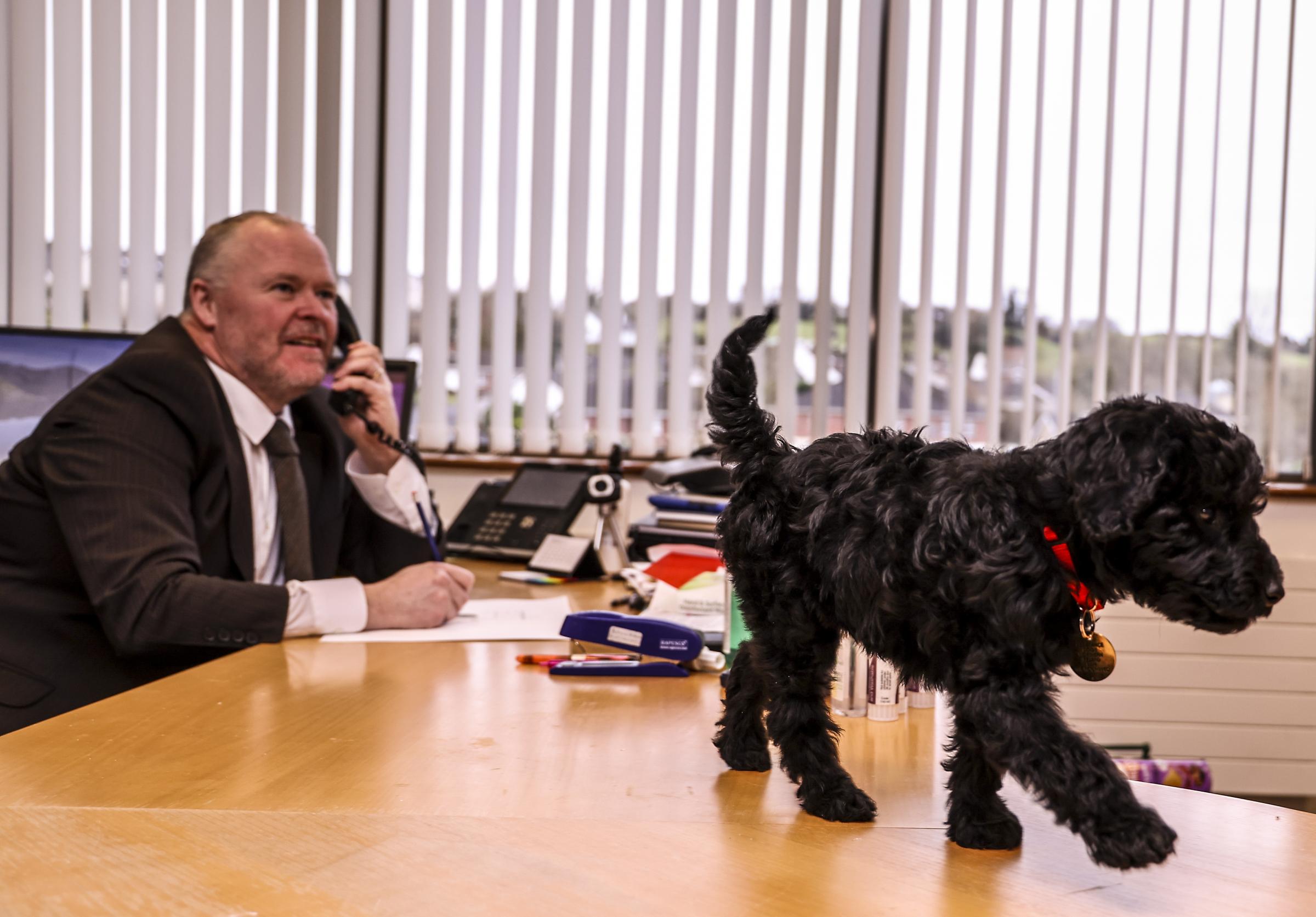 Garry Kelly, Principal, St. Kevins College, Lisnaskea, with Pluto, the new therapy Labradoodle.John McVitty - 07771987378.