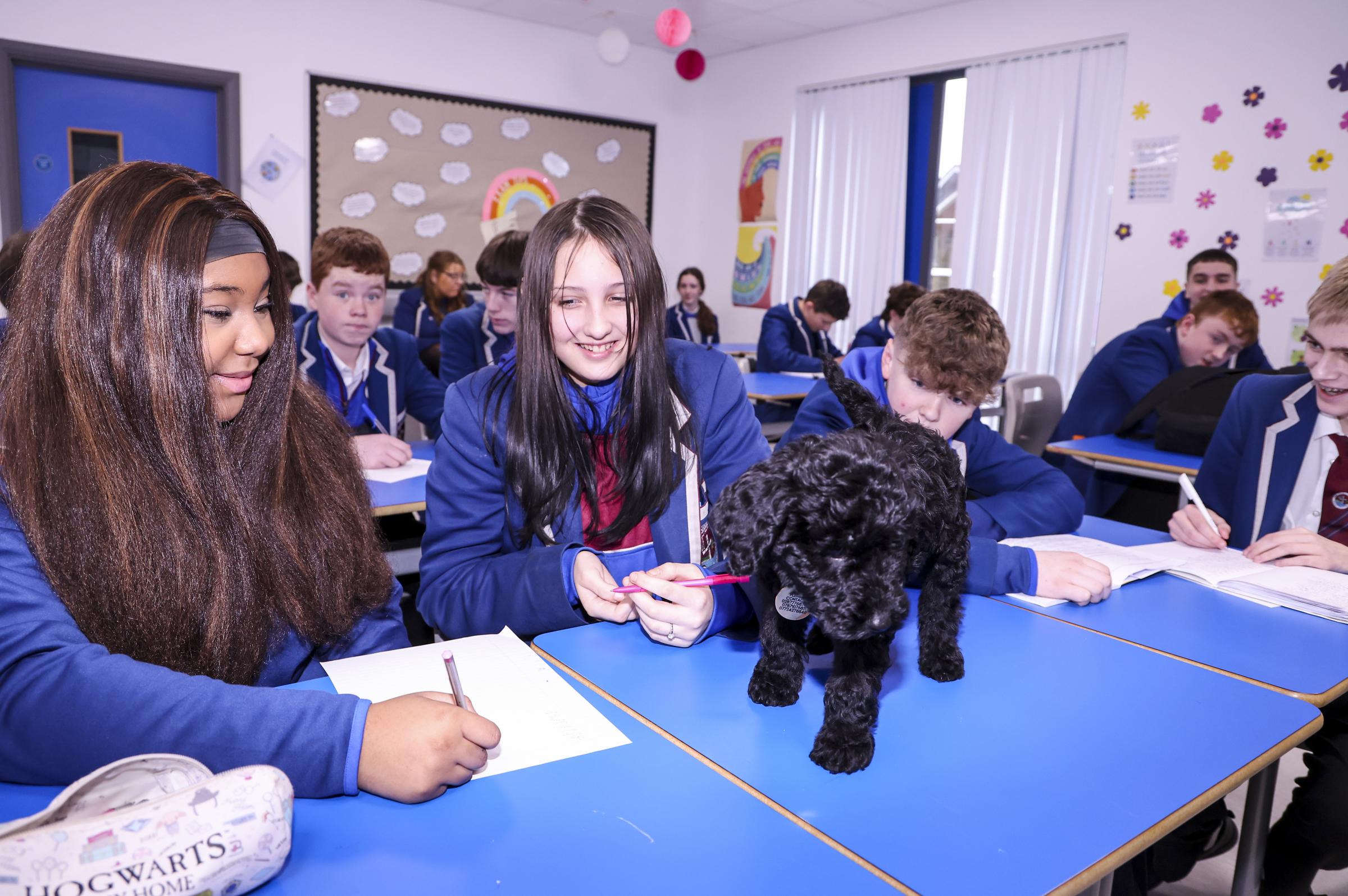 Pluto gets to mix with the students at St.Kevins College.